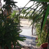 Отель Cairo plaza Guest House, фото 2