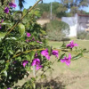 Отель Villas Cristina, фото 8