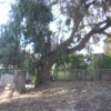 Отель Posada De Los Angeles, фото 5