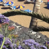 Отель Tagoror Lanzarote, фото 10