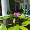 Отель Monkey Garden Hotel, фото 15