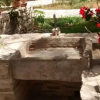 Отель Garden Kamara House, фото 6