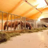 Отель Bodenhof Ferienwohnungen, фото 11