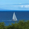 Отель Maui Kamaole H-104 - 1 Br Condo, фото 17
