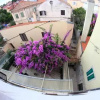 Отель Bed and Breakfast Ivanka Mali Lošinj, фото 8