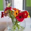 Отель Hostal Gat Raval, фото 8