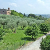 Отель Da Adamo Osteria e Locanda, фото 23