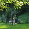 Отель Family Wellness Camping al Sole, фото 10