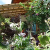 Отель Ferienwohnung Kruis, фото 4