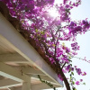 Отель Villa Mistral A12 Gocek Hills, фото 1