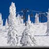 Отель Storm Meadows at Christie Base, фото 25