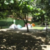 Отель Cantinho da Ilha - Camping & Suítes, фото 11
