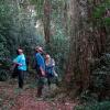 Отель San Sebastian De La Selva, фото 8