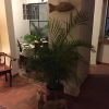 Отель Casa Molcajete, фото 10