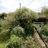 Отель Willow Cottage, фото 12