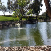 Отель Temecula CoachHouse, фото 8