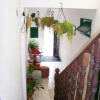 Отель Hostal los Helechos de la Villa, фото 10