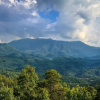 Отель Great Smoky Lodge - Seven Bedroom Cabin, фото 1