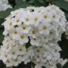 Отель La Rosa de los Vientos km54, фото 1