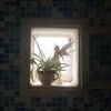 Отель B&B San Domenico, фото 7