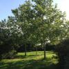 Отель Agriturismo La Fattoria Del Mortelliccio, фото 2