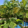Отель Sea La Villa Port Douglas, фото 7