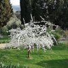 Отель Agriturismo La Tinaia, фото 9