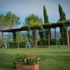 Отель Agriturismo Il Catrino, фото 8