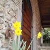 Отель B&B Sole Mio Country House в Веллетри