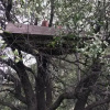 Отель Maipo Shanti Lodge, фото 5