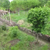 Отель Shushan B&B, фото 5