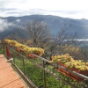 Отель B&B Il Chioso, фото 1