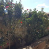 Отель Pouso da Rita, фото 13