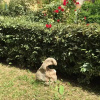 Отель B&B La Dolce Sosta, фото 9