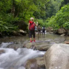Отель Selva Bananito Lodge, фото 6