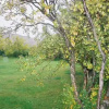 Отель Hverinn - Sælureitur í sveitinni, фото 7