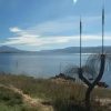 Отель Top of the Range Jindabyne, фото 10