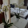 Отель Fortuna Hotel and Restaurant, фото 2