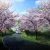 Отель Tianjin Society Hill Hot Spring Hotel, фото 13