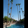 Отель Cave Creek #2029 - 2 Br condo by RedAwning, фото 13