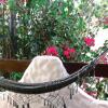 Отель Pousada Hostal das Estrelas, фото 8