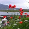Отель Bleanaskill Lodge & Achill Secret Garden, фото 4
