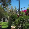 Отель Hostal Las Delicias, фото 7
