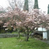 Отель B&B Villa Ada, фото 10