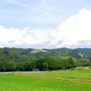 Отель B&B Il Cotogno, фото 9