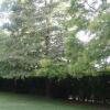 Отель Posada del Leñatero Ezeiza, фото 9