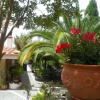 Отель Bed and Breakfast El Dueño, фото 7
