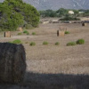 Отель Appartamenti la Pinetina di Favignana, фото 3