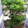 Отель Alter Temporada Manaus - Apto Condomínio, фото 7