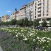 Отель Maison Central Studio, фото 6